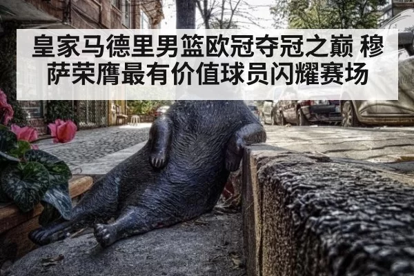 皇家马德里男篮欧冠夺冠之巅 穆萨荣膺最有价值球员闪耀赛场